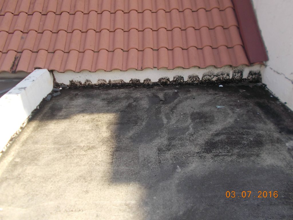 #1 Waterproofing | Waterproofing Contractor Specialist Singapore – Proof Tech