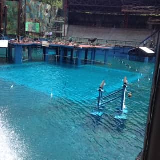 #1 Waterproofing | Waterproofing Contractor Specialist Singapore – Proof Tech