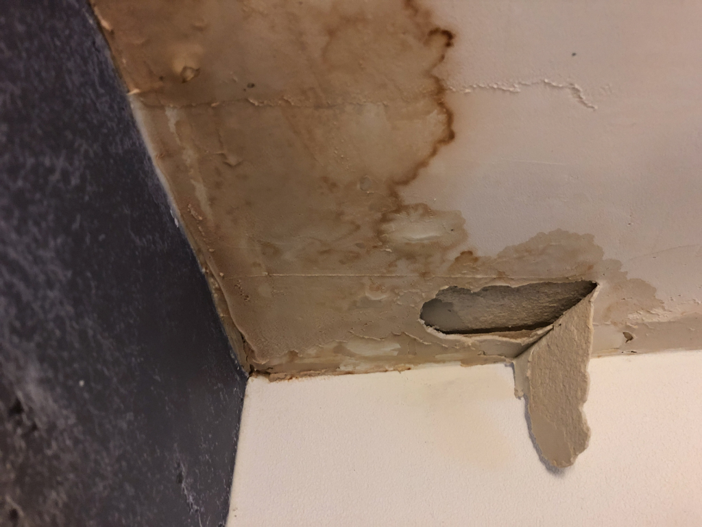 Who is responsible for water leakage in a condominium?
